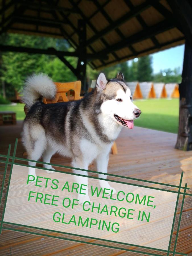 Glamping Forest Edge คัมนิค ภายนอก รูปภาพ