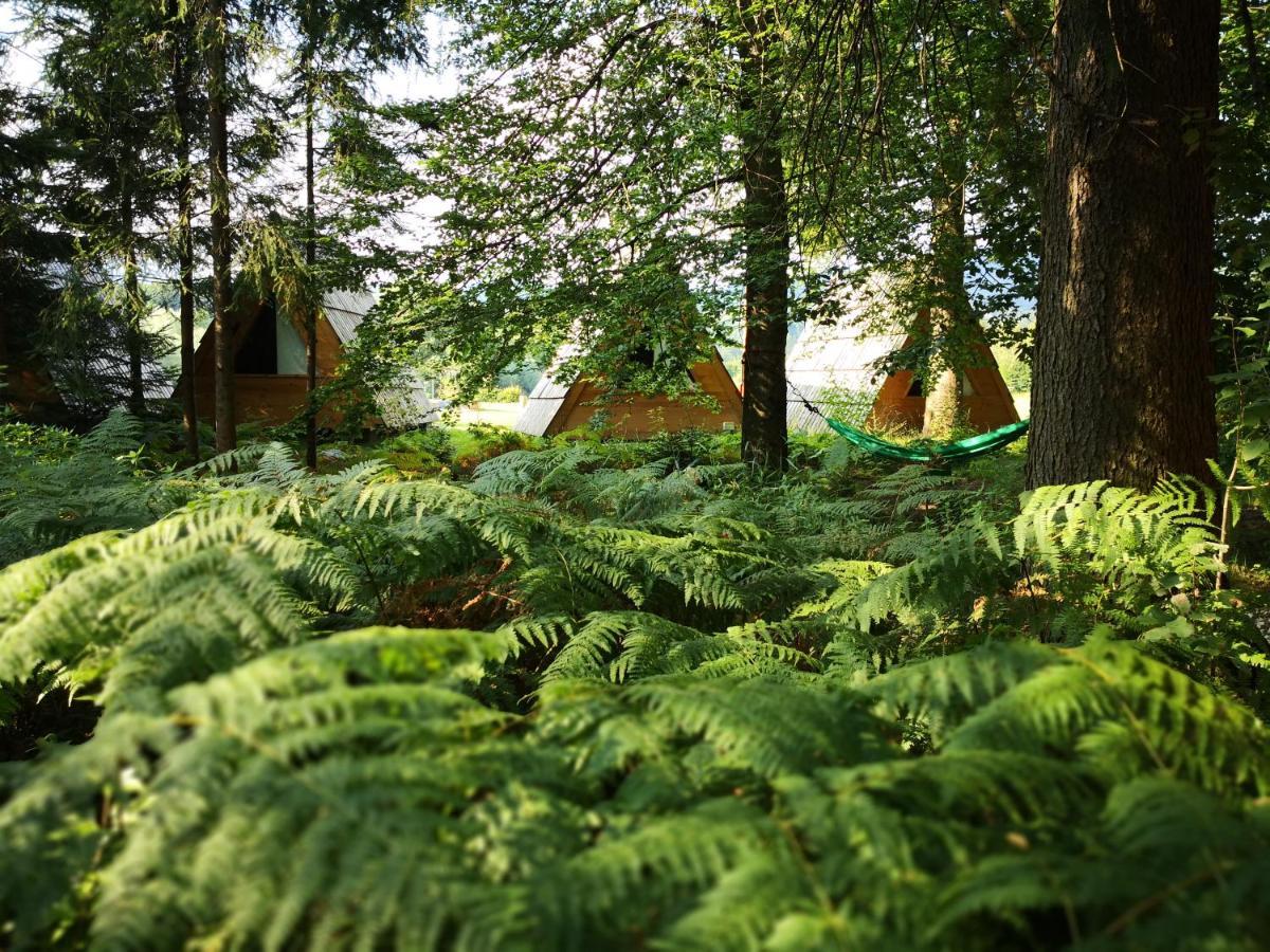 Glamping Forest Edge คัมนิค ภายนอก รูปภาพ